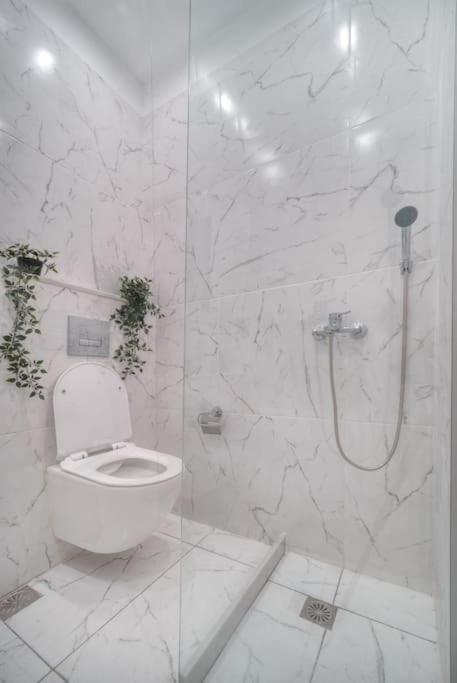 Εστία 10 Λεπτά Από Την Ακρόπολη Apartment Atena Exterior foto